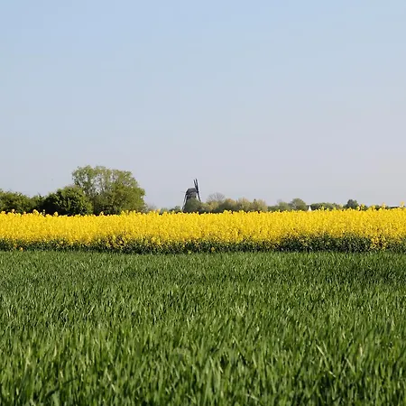 Bellevue Fehmarn