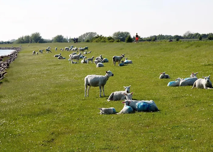 Bellevue * 페마른